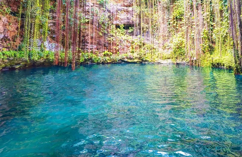 Water from underground Cenotes